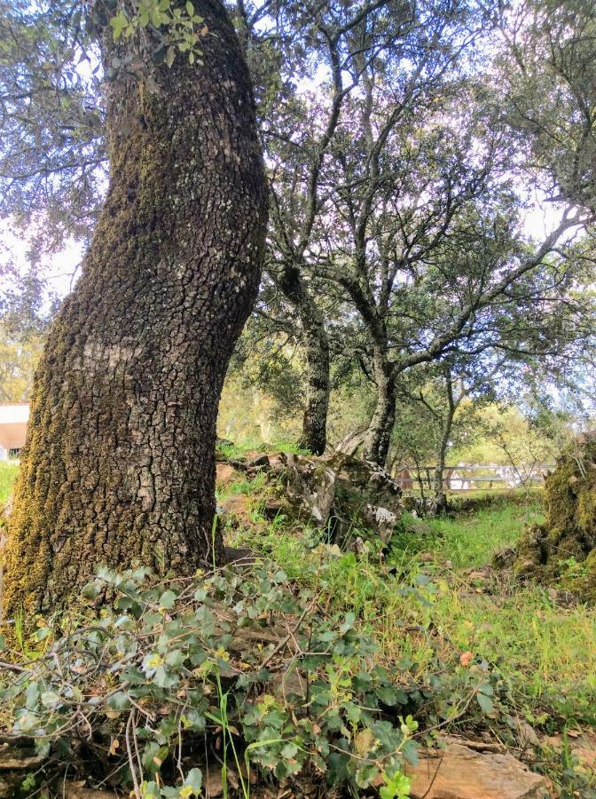 Casa Mandarina Aracena Villa Kültér fotó